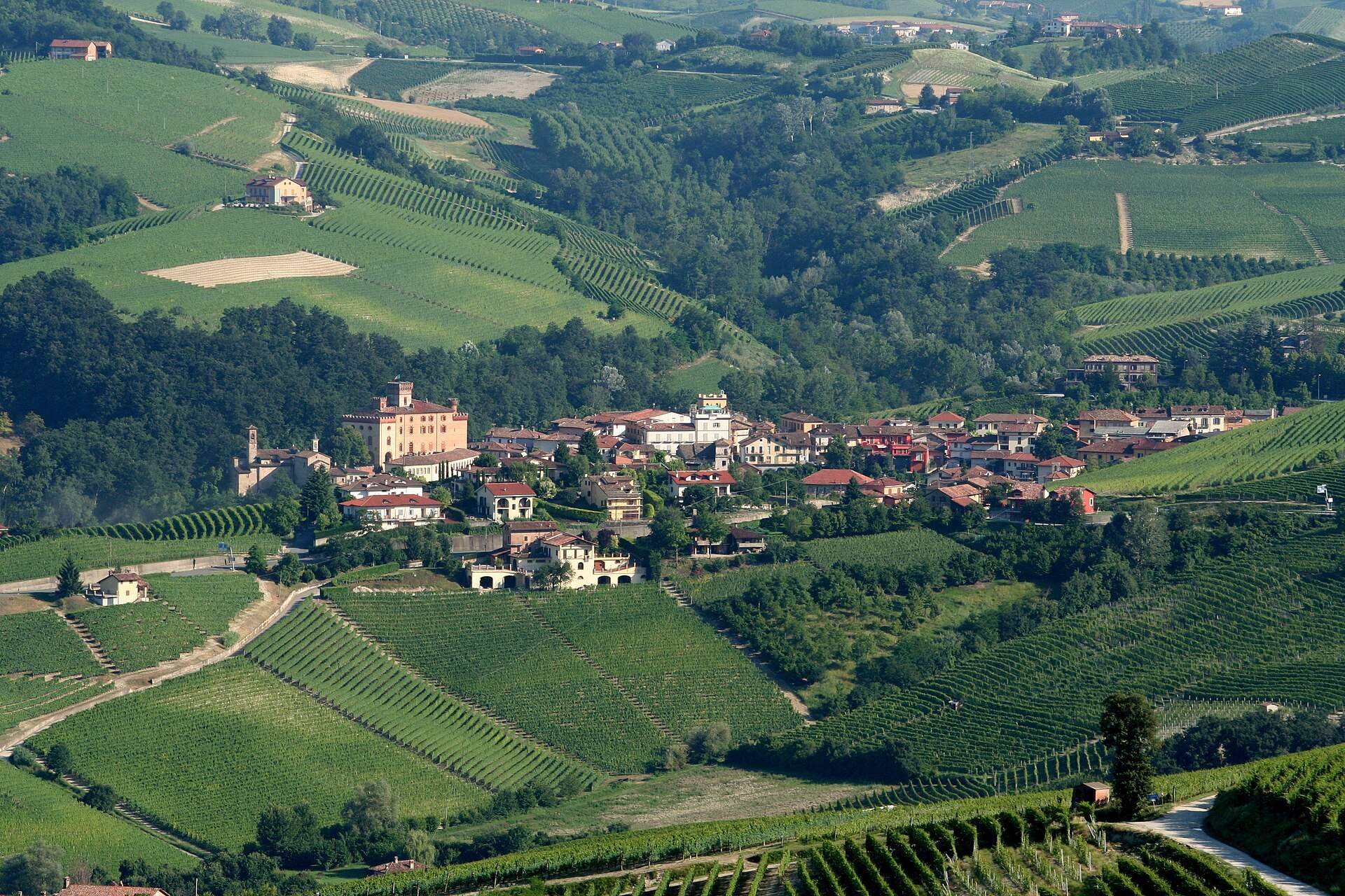 Das Dorf Barolo zwischen den Weinbergen der Langhe